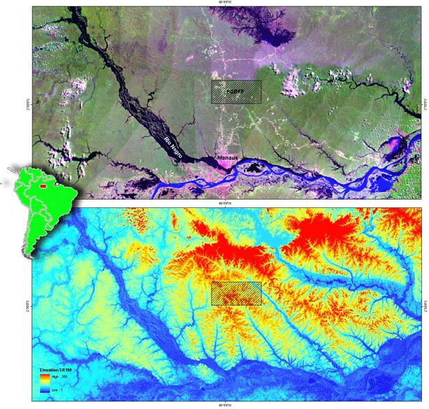 SRTM-90m e LandSat 2001 - região ao norte de Manaus com localização da área experimental do PDBFF