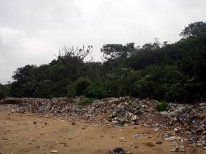 Depósito irregular de lixo no município de Ilha Comprida gerando degradação em trecho de floresta de restinga baixa.