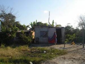 Ocupação irregular em floresta de restinga baixa no município de Cananéia