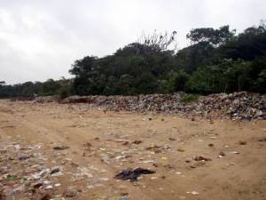 Depósito irregular de lixo no município de Ilha Comprida gerando degradação em trecho de floresta de restinga baixa.